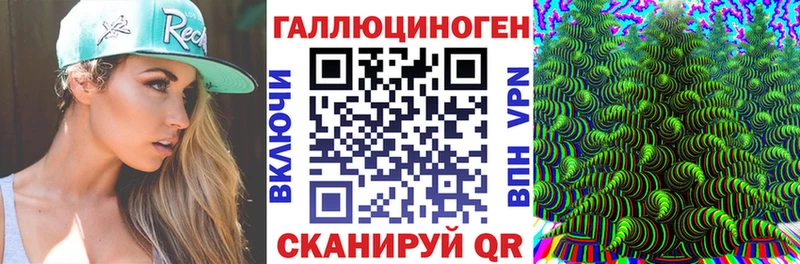 Псилоцибиновые грибы Cubensis  Реж 